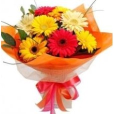 8 Mixed Gerberas Bouquet